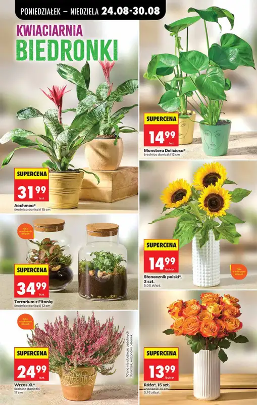 Biedronka - gazetka promocyjna Od poniedziałku od poniedziałku 24.08 do niedzieli 30.08 - strona 37