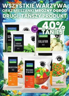 Dino - gazetka promocyjna Gazetka 35 / 2026 od środy 26.08 do wtorku 01.09 - strona 31