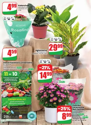 Dino - gazetka promocyjna Gazetka 35 / 2026 od środy 26.08 do wtorku 01.09 - strona 58