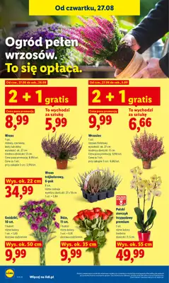 Lidl - gazetka promocyjna Oferta od czwartku od czwartku 27.08 do niedzieli 30.08 - strona 86