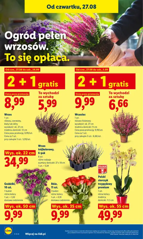 Lidl - gazetka promocyjna Oferta od czwartku od czwartku 27.08 do niedzieli 30.08 - strona 86