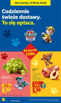 Lidl - gazetka promocyjna Oferta od czwartku od czwartku 27.08 do niedzieli 30.08 - strona 40
