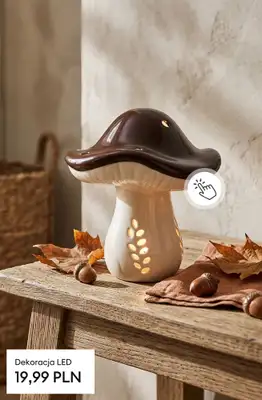 Sinsay - gazetka promocyjna Kolekcja AUTUMN HOME od środy 26.08  - strona 5