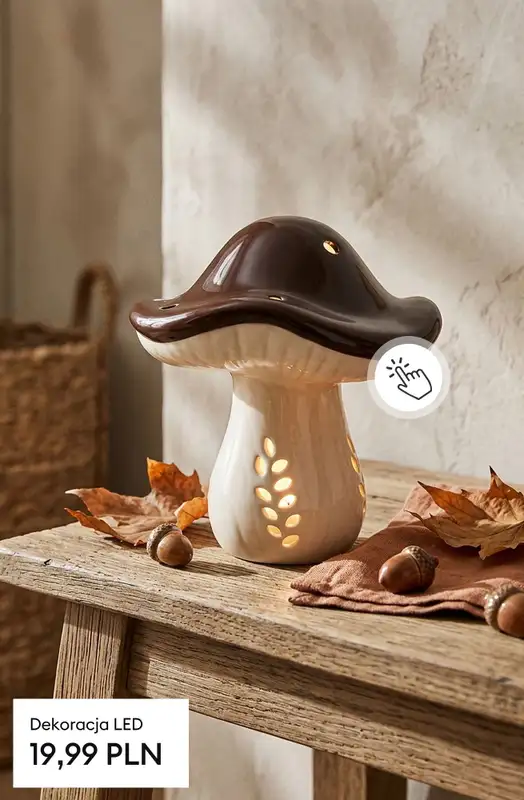 Sinsay - gazetka promocyjna Kolekcja AUTUMN HOME od środy 26.08  - strona 5