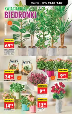 Biedronka - gazetka promocyjna Od czwartku od czwartku 27.08 do środy 02.09 - strona 79