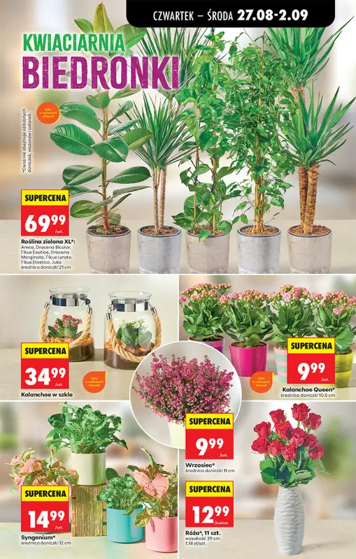 Biedronka - gazetka promocyjna Od czwartku od czwartku 27.08 do środy 02.09 - strona 79