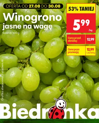 Biedronka - gazetka promocyjna Biedronkowe oszczędności od czwartku od czwartku 27.08 do soboty 29.08 - strona 3