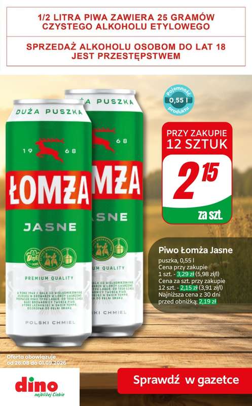 Dino - gazetka promocyjna Super promocje na piwo! od czwartku 27.08 do wtorku 01.09 - strona 7