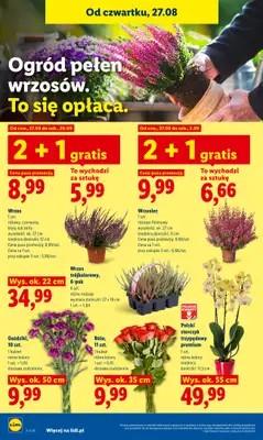 Lidl - gazetka promocyjna Oferta od czwartku od czwartku 27.08 do niedzieli 30.08 - strona 88