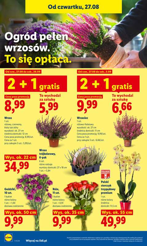 Lidl - gazetka promocyjna Oferta od czwartku od czwartku 27.08 do niedzieli 30.08 - strona 88