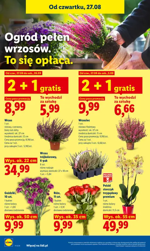 Lidl - gazetka promocyjna Oferta od czwartku od czwartku 27.08 do niedzieli 30.08 - strona 88