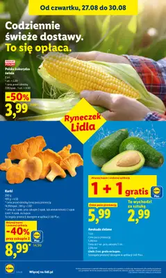 Lidl - gazetka promocyjna Oferta od czwartku od czwartku 27.08 do niedzieli 30.08 - strona 40