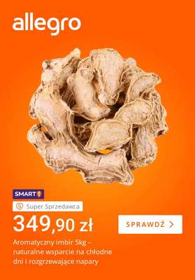 Allegro - gazetka promocyjna Odporność to podstawa od piątku 28.08 do piątku 04.09