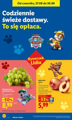 Lidl - gazetka promocyjna Oferta od czwartku od czwartku 27.08 do niedzieli 30.08 - strona 44