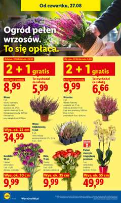 Lidl - gazetka promocyjna Oferta od czwartku od czwartku 27.08 do niedzieli 30.08 - strona 90