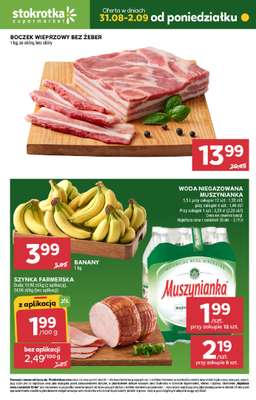 Stokrotka - gazetka promocyjna Hity na start od poniedziałku 31.08 do środy 02.09