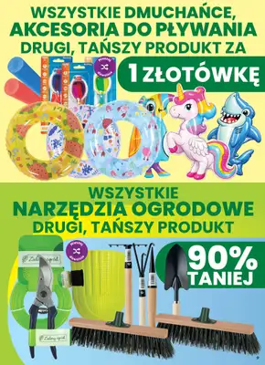 Dino - gazetka promocyjna Weekendowe okazje od piątku 28.08 do niedzieli 30.08 - strona 9