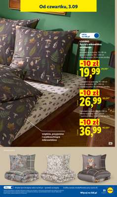 Lidl - gazetka promocyjna Katalog od poniedziałku 31.08 do soboty 05.09 - strona 31