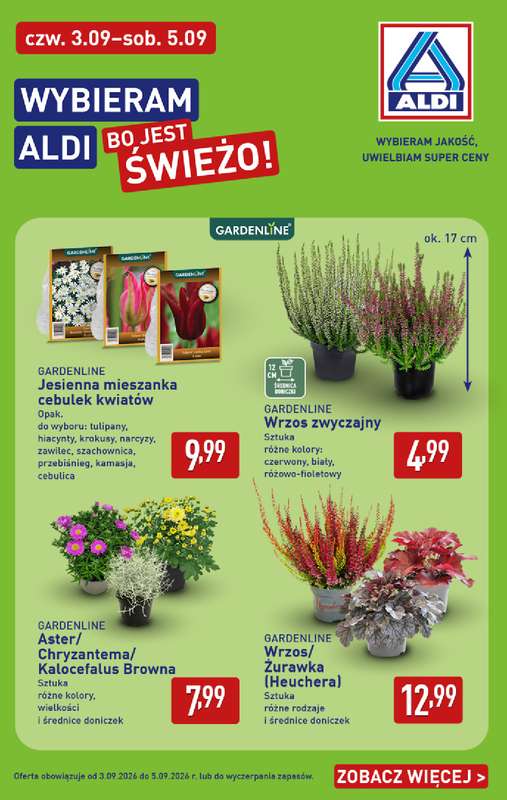Aldi - gazetka promocyjna Kwiaty i rośliny w super cenie! od czwartku 03.09 do soboty 05.09