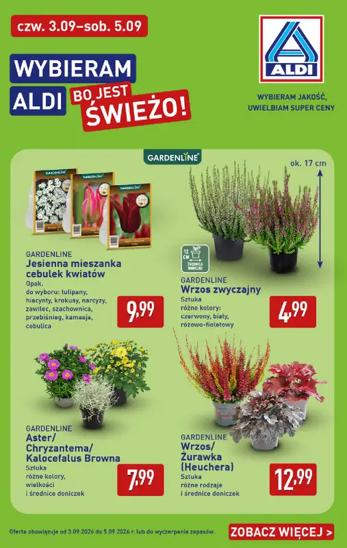 Aldi - gazetka promocyjna Kwiaty i rośliny w super cenie!  