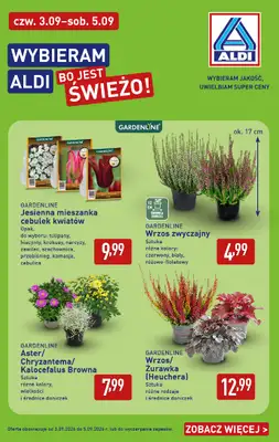 Aldi - gazetka promocyjna Pełny katalog! od poniedziałku 31.08 do soboty 05.09 - strona 38