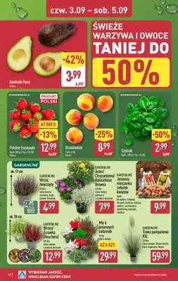Aldi - gazetka promocyjna Pełny katalog! od poniedziałku 31.08 do soboty 05.09 - strona 40