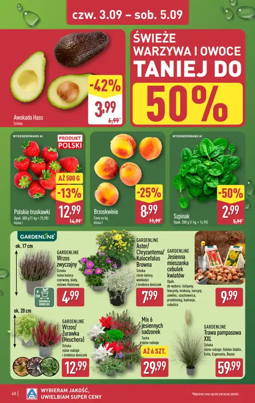 Aldi - gazetka promocyjna Pełny katalog! od poniedziałku 31.08 do soboty 05.09 - strona 40
