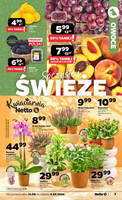 Netto - gazetka promocyjna Gazetka Spożywcza od poniedziałku 31.08 do soboty 05.09 - strona 7