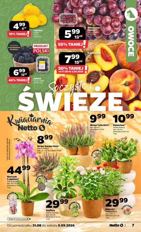 Netto - gazetka promocyjna Gazetka Spożywcza od poniedziałku 31.08 do soboty 05.09 - strona 7