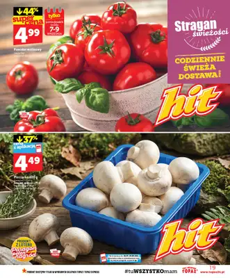 TOPAZ - gazetka promocyjna Gazetka od czwartku 03.09 do środy 09.09 - strona 19