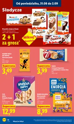 Lidl - gazetka promocyjna Oferta od poniedziałku od poniedziałku 31.08 do środy 02.09 - strona 74