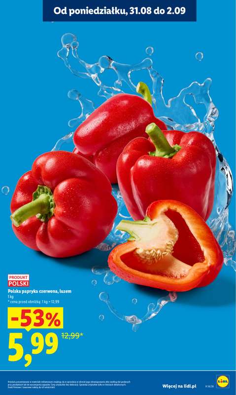 Lidl - gazetka promocyjna Oferta od poniedziałku od poniedziałku 31.08 do środy 02.09 - strona 19