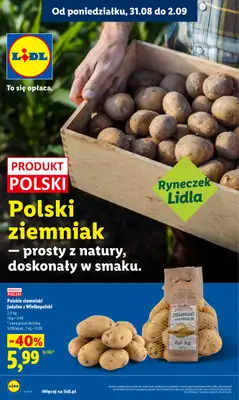 Lidl - gazetka promocyjna Oferta od poniedziałku od poniedziałku 31.08 do środy 02.09 - strona 36