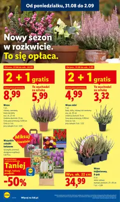 Lidl - gazetka promocyjna Oferta od poniedziałku od poniedziałku 31.08 do środy 02.09 - strona 86