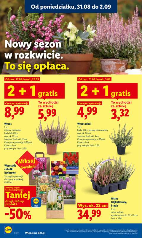 Lidl - gazetka promocyjna Oferta od poniedziałku od poniedziałku 31.08 do środy 02.09 - strona 86