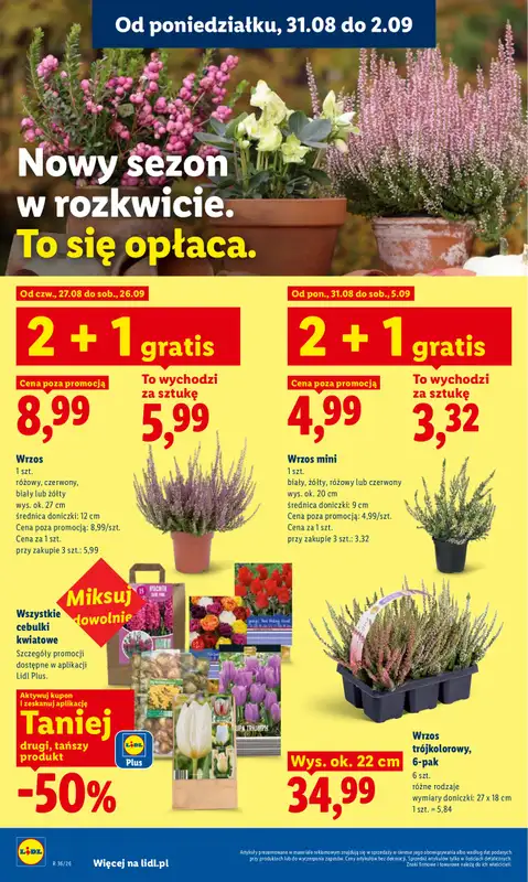 Lidl - gazetka promocyjna Oferta od poniedziałku od poniedziałku 31.08 do środy 02.09 - strona 86