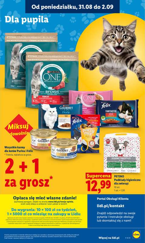 Lidl - gazetka promocyjna Oferta od poniedziałku od poniedziałku 31.08 do środy 02.09 - strona 85