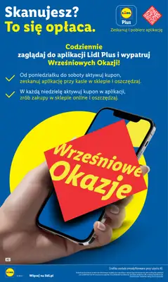 Lidl - gazetka promocyjna Oferta od poniedziałku od poniedziałku 31.08 do środy 02.09 - strona 12