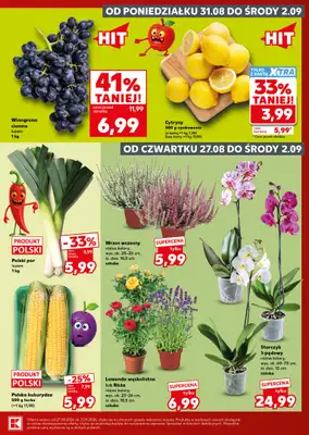 Kaufland - gazetka promocyjna Gazetka Tygodnia od czwartku 27.08 do środy 02.09 - strona 5