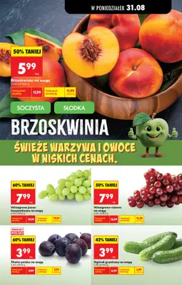 Biedronka - gazetka promocyjna Od poniedziałku, Z ladą tradycyjną od poniedziałku 31.08 do soboty 05.09 - strona 51