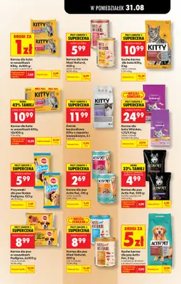 Biedronka - gazetka promocyjna Od poniedziałku od poniedziałku 31.08 do soboty 05.09 - strona 107