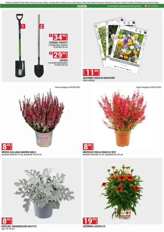 Merkury Market - gazetka promocyjna Gazetka od wtorku 01.09 do środy 30.09 - strona 24