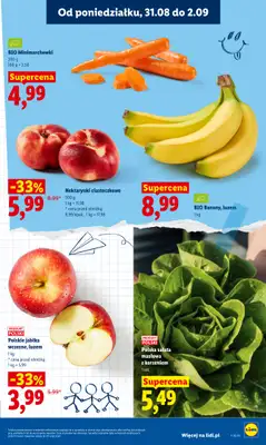 Lidl - gazetka promocyjna Oferta od poniedziałku od poniedziałku 31.08 do środy 02.09 - strona 41