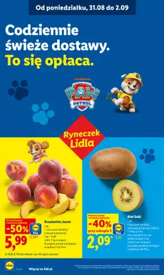 Lidl - gazetka promocyjna Oferta od poniedziałku od poniedziałku 31.08 do środy 02.09 - strona 38