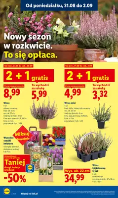 Lidl - gazetka promocyjna Oferta od poniedziałku od poniedziałku 31.08 do środy 02.09 - strona 86