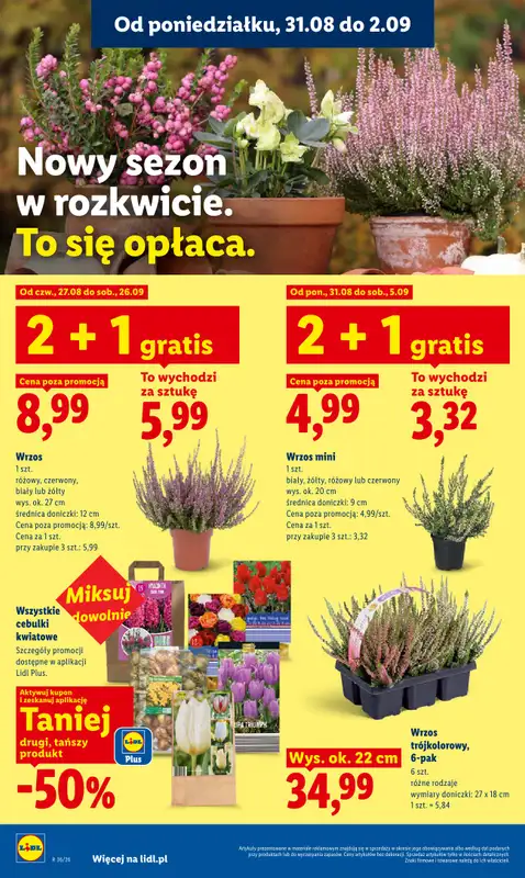 Lidl - gazetka promocyjna Oferta od poniedziałku od poniedziałku 31.08 do środy 02.09 - strona 86