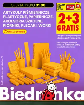 Biedronka - gazetka promocyjna Biedronkowe oszczędności od poniedziałku 31.08 do poniedziałku 31.08 - strona 17