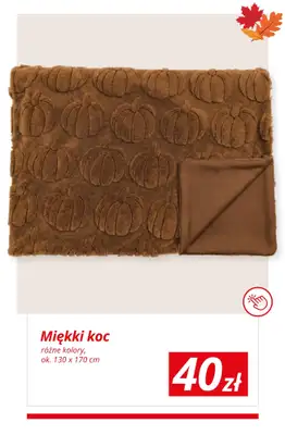 KiK - gazetka promocyjna Jesienne dekoracje w KiK od wtorku 01.09 do niedzieli 06.09 - strona 3