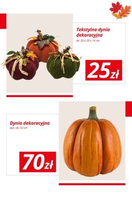 KiK - gazetka promocyjna Jesienne dekoracje w KiK od wtorku 01.09 do niedzieli 06.09 - strona 4