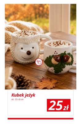 KiK - gazetka promocyjna Jesienne dekoracje w KiK od wtorku 01.09 do niedzieli 06.09 - strona 6